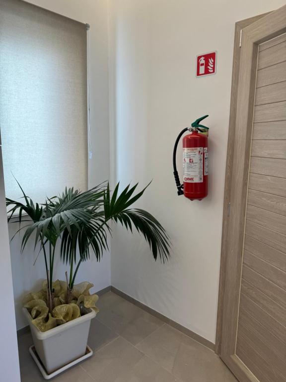 Kép Romantic Suite szállásáról Monopoliban a galériában