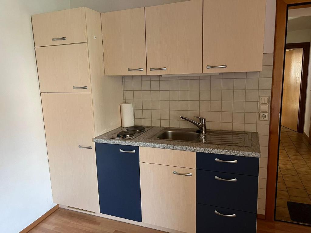 Kuchyň nebo kuchyňský kout v ubytování Haus Peter