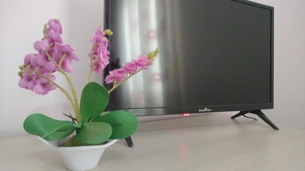 TV a/nebo společenská místnost v ubytování B&B Max