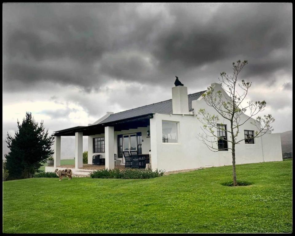 a white house with a dog walking in front of it at Babylons Tower Cottage in Caledon