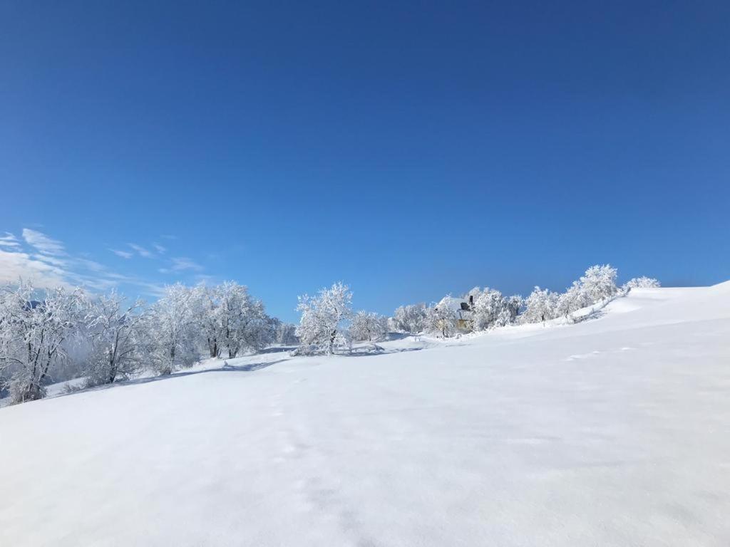 Rosenholz Ferienhäuser durante l'inverno