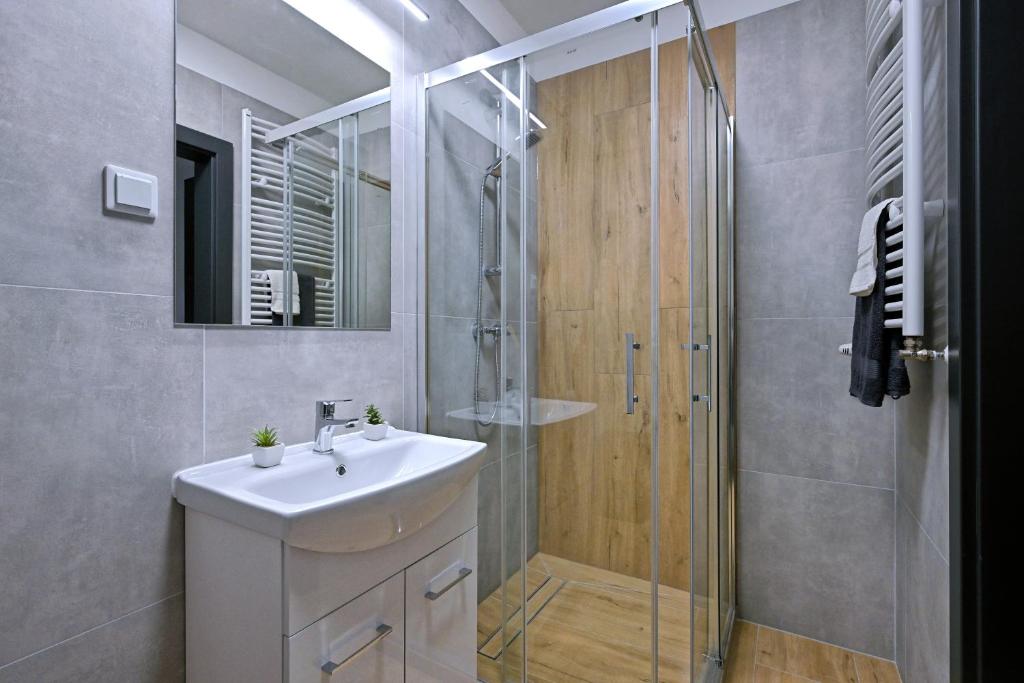 Zeus Apartments Economy - 3