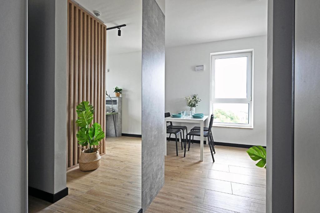 Zeus Apartments Economy - 11