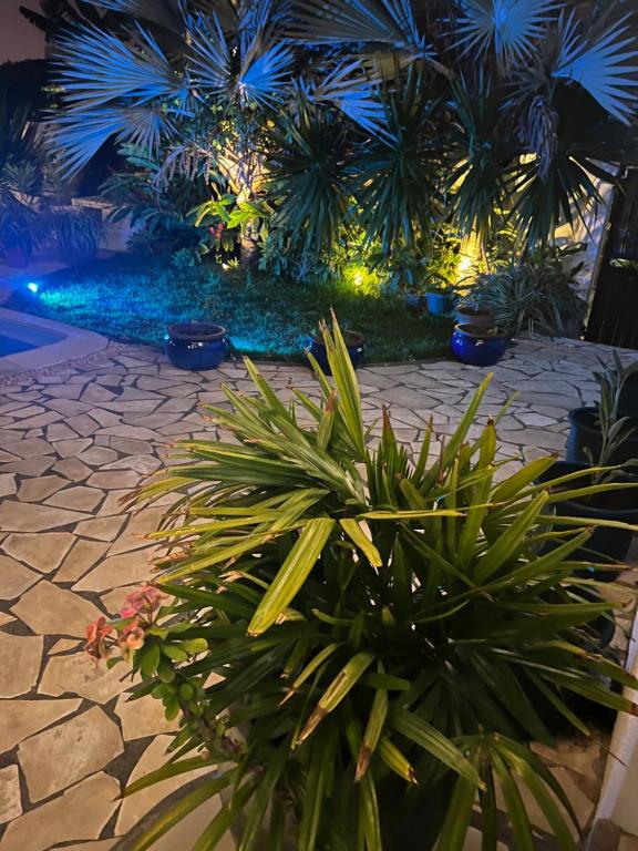 Zahrada ubytování Blue Heaven by Nokar, Villa Salt pool Jacuzzi