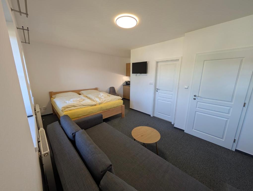 リプノ・ナト・ヴルタヴォウにあるSport apartmán 2117のソファとベッドとテーブルのある部屋