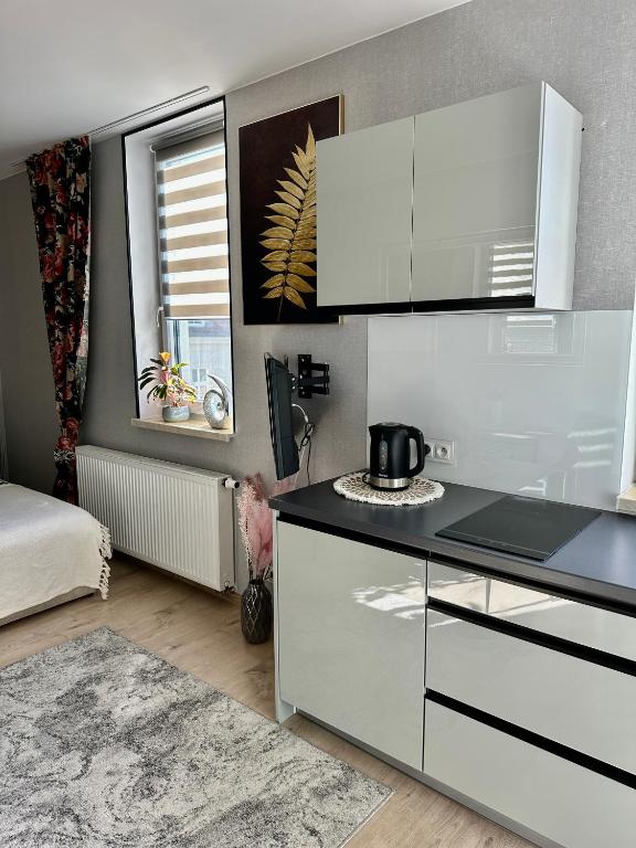Apartamenty 1 maja 94 Katowice - Studio -appartement