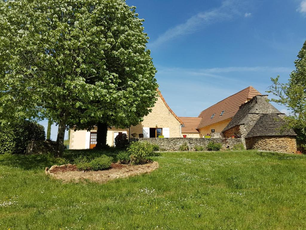 a house with a tree in the yard at La Clef des Champs in Saint-Léon-sur-Vézère