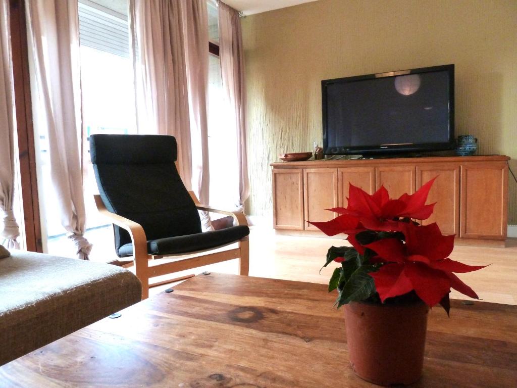 バルセロナにあるJoanic Apartment Escorialのリビングルーム(テレビ付)、赤い花の花瓶
