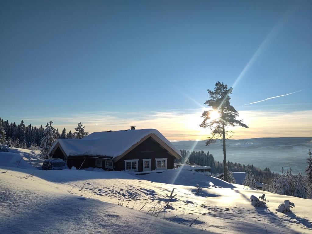 una cabaña de madera en la nieve con el sol brillando en Coazy cabin with sauna, en Trysil