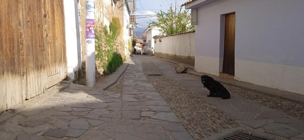 Domácí mazlíčci ubytovaní s hosty v ubytování Carli's House San Blas