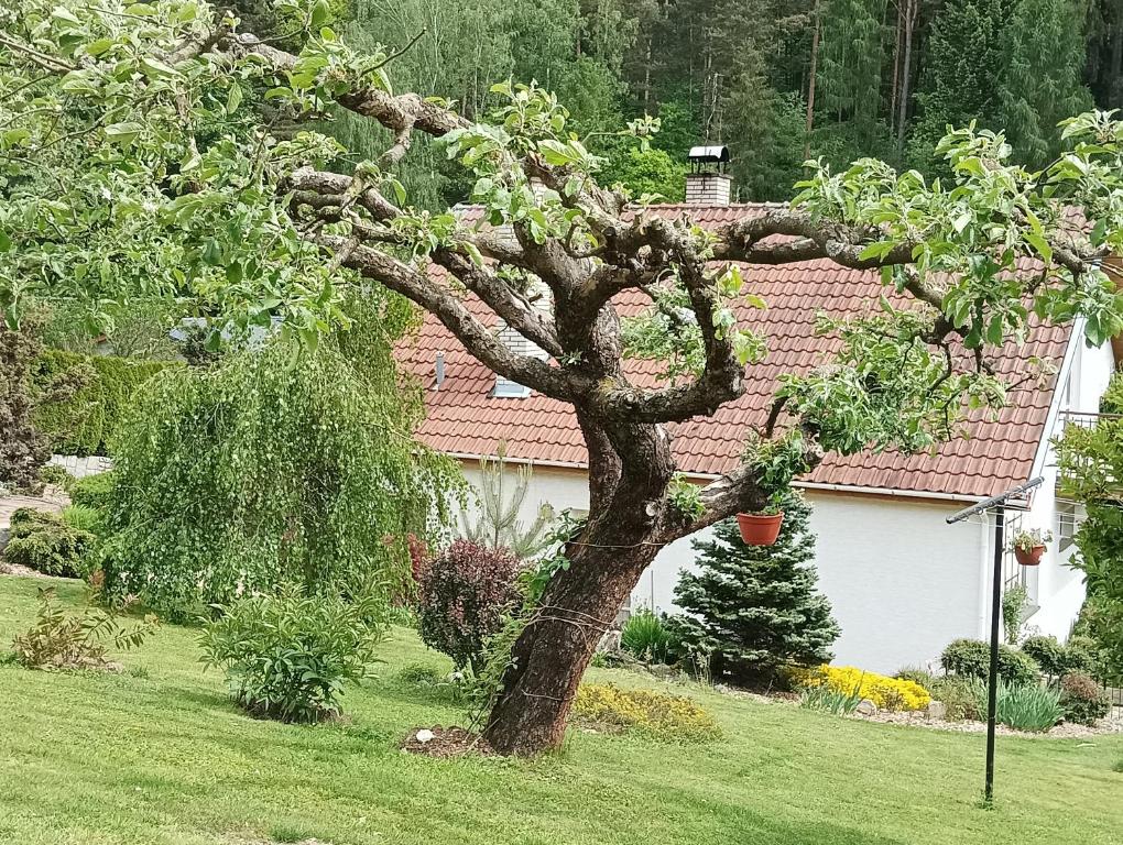 Zahrada ubytování Ubytování Iris