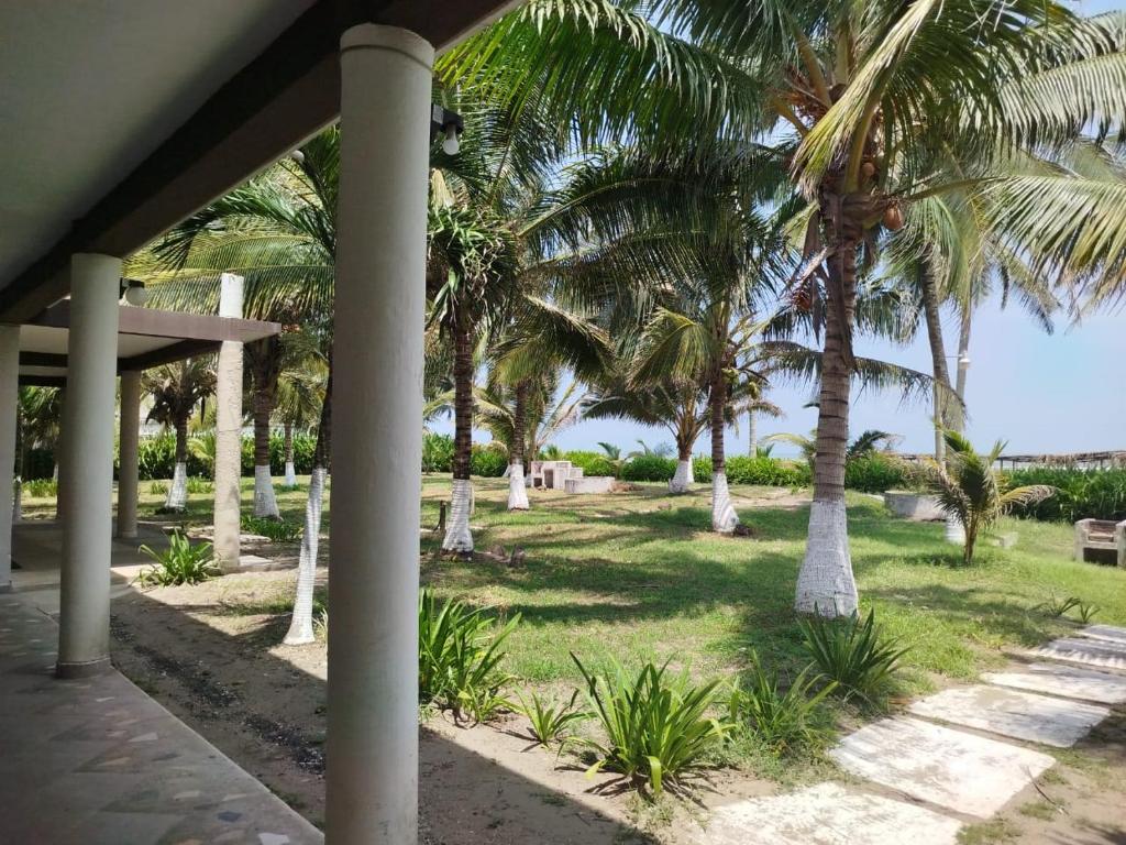 Zahrada ubytování Playa Encantada