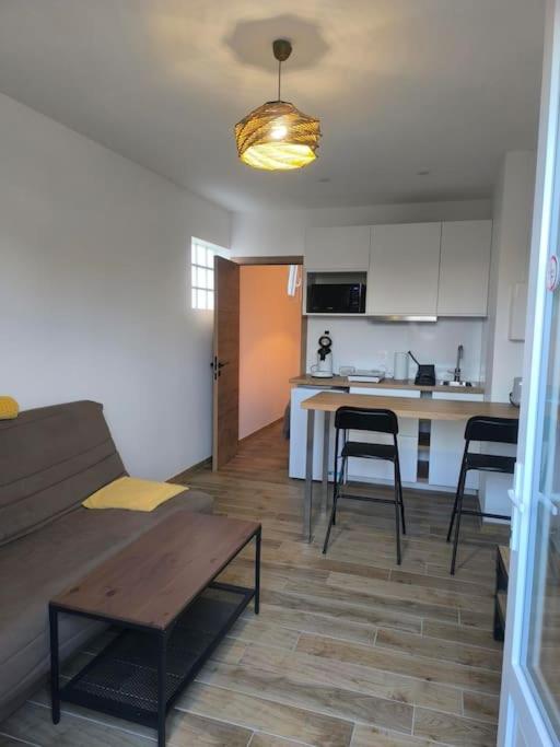 un salon avec un canapé et une cuisine dans l'établissement A Karibu, à Saint-Médard-en-Jalles