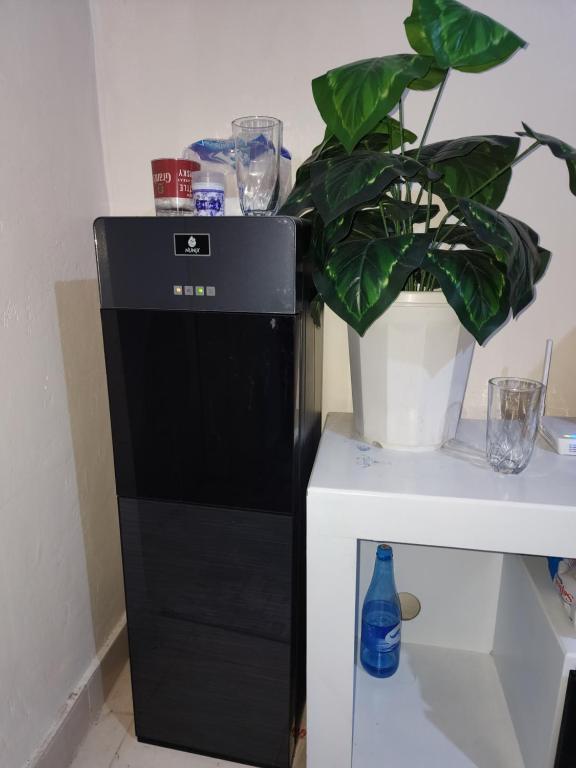 a black refrigerator next to a plant next to a table at Mutuku and Kata Homes in Embakasi