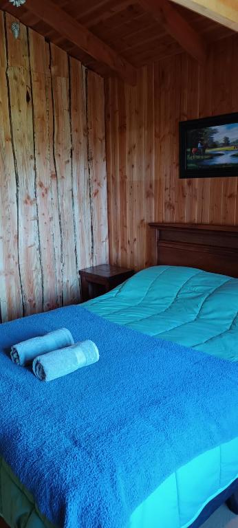 Postel nebo postele na pokoji v ubytování Hostel Calafquen Adventure Coñaripe