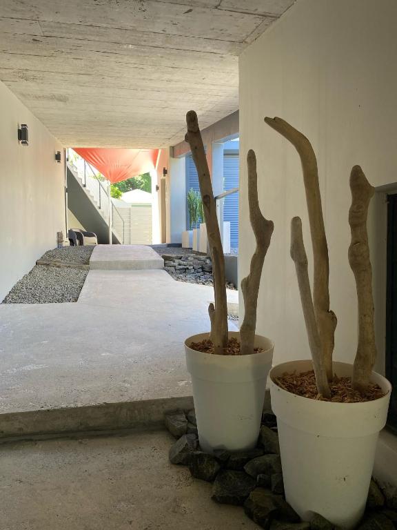Fotografie z fotogalerie ubytování Hôtel Lune de Miel v destinaci Deshaies