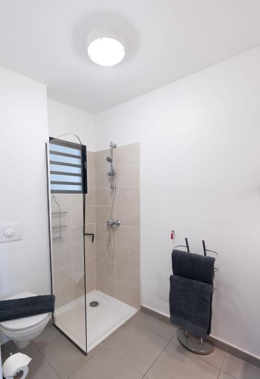 Salle de bains dans l'établissement Studio avec vue sur mer à l'Etang Z'Abricot
