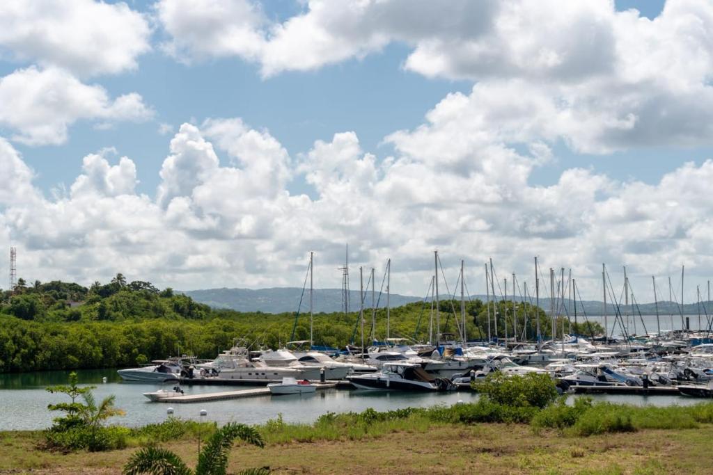 Une bande de bateaux amarrés dans un port dans l'établissement Studio avec vue sur mer à l'Etang Z'Abricot, à Fort-de-France