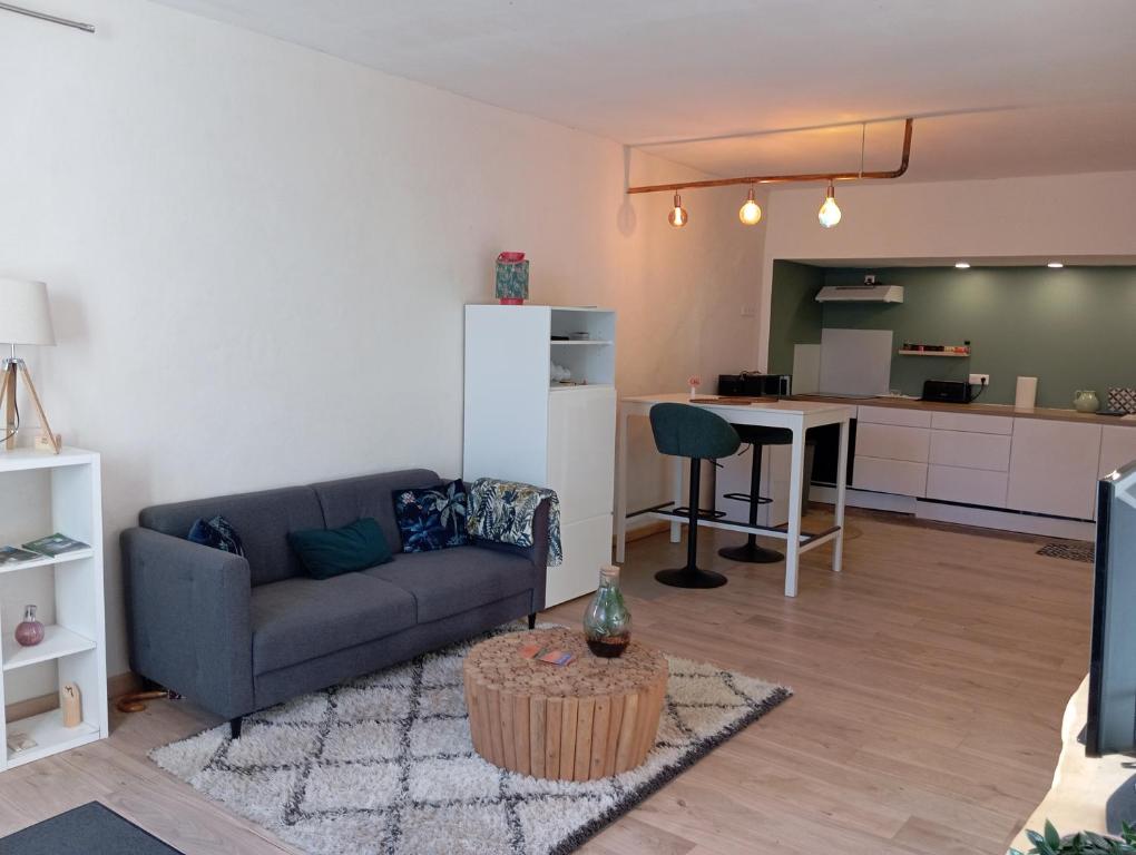 Kuchyň nebo kuchyňský kout v ubytování appartement hôtes entier Millau Compeyre