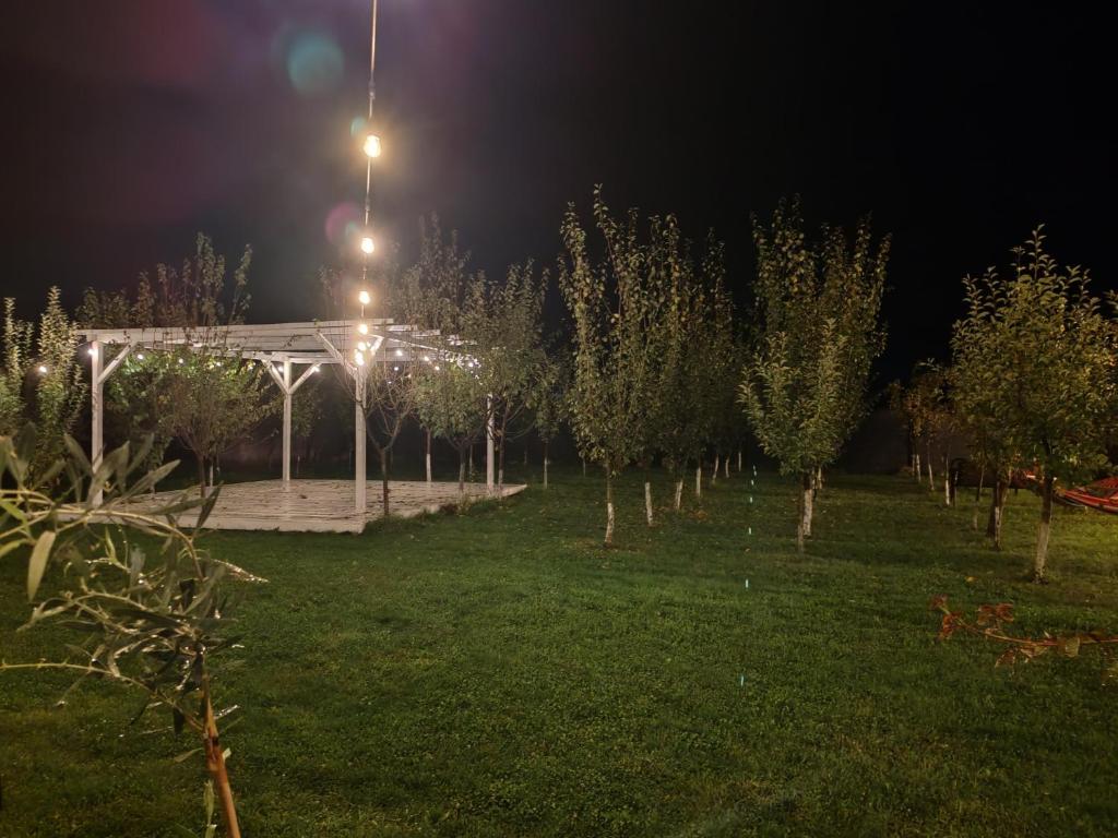 Zahrada ubytování Garden Pypa
