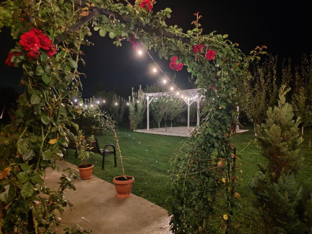 Zahrada ubytování Garden Pypa
