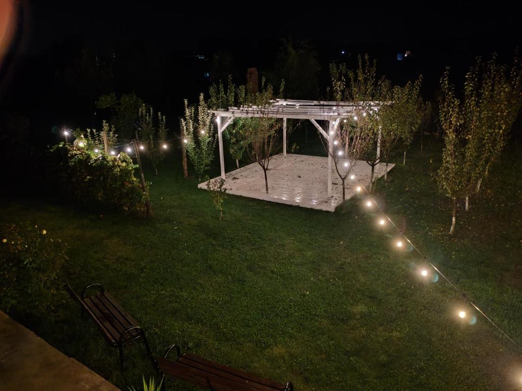 Zahrada ubytování Garden Pypa