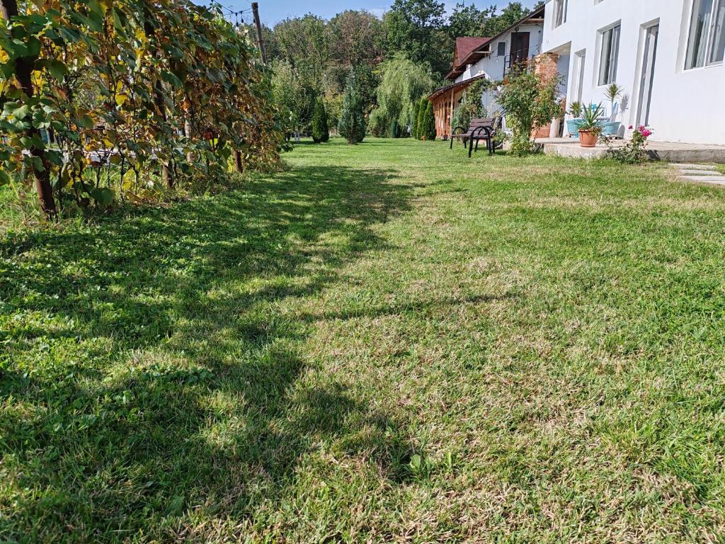 Zahrada ubytování Garden Pypa