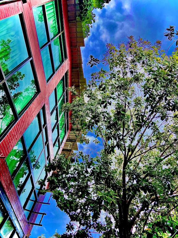 a tree in front of a building looking up at the sky at A Plus Deluxe Hotel in Ko Lipe