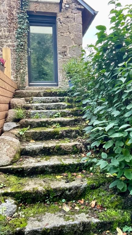Zahrada ubytování Chambre d hôtes le 23