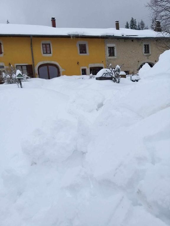 une pile de neige devant une maison dans l'établissement La ferme comtoise d'Izabelle et Thierry, à Prénovel