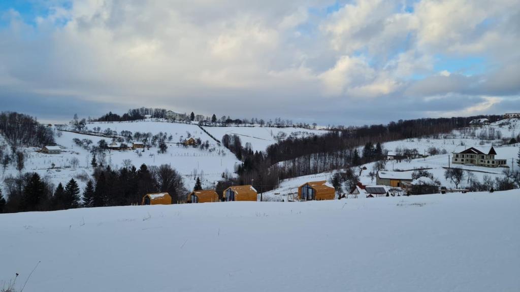 My Little Village v zimě