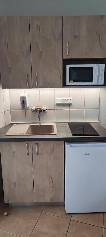 Kuchyňa alebo kuchynka v ubytovaní Sárvárfürdő Apartmanház