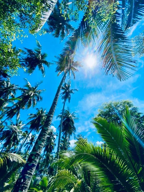 Zahrada ubytování Suan Maprao Ko Kut Resort