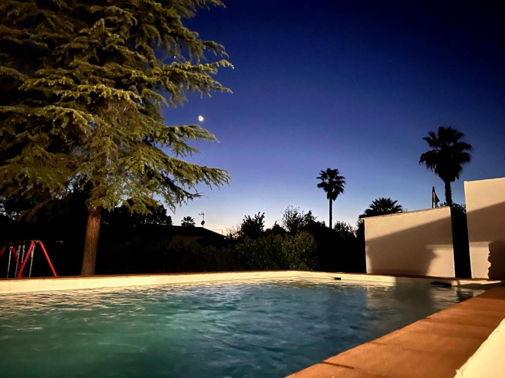 a swimming pool in a yard with palm trees at Casa Rural Macondo in Trujillanos