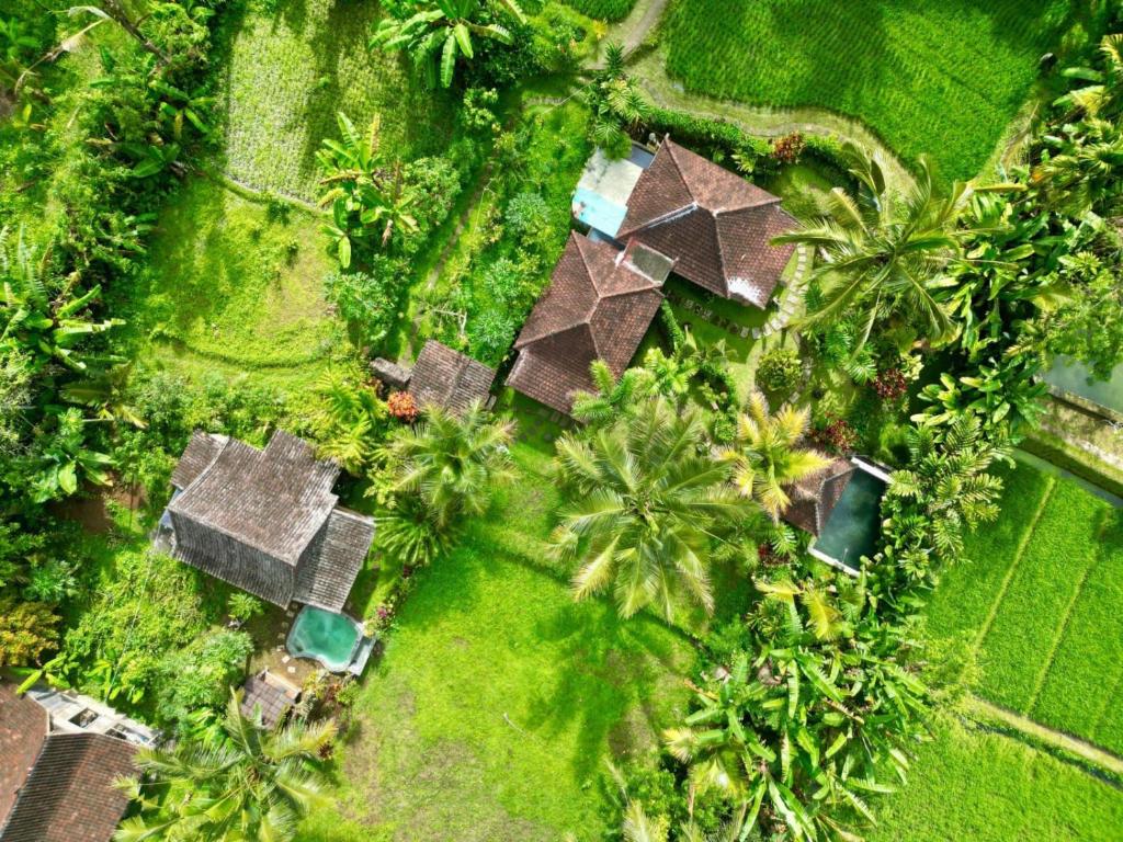 Zahrada ubytování Dewa Jati Cottages