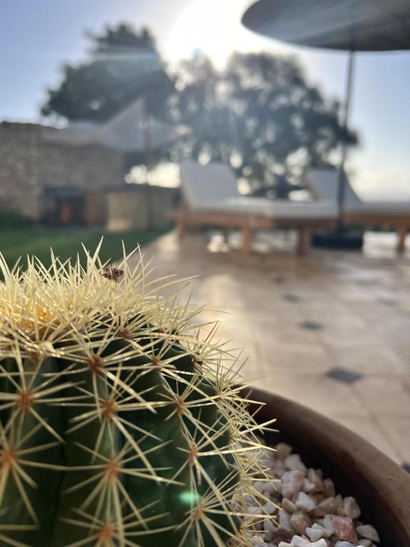Fotografie z fotogalerie ubytování Villa Manzar piscine chauffée v destinaci Essaouira