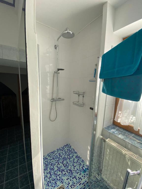 Koupelna v ubytování Apartment mit Sauna im Wienerwald - Mödling