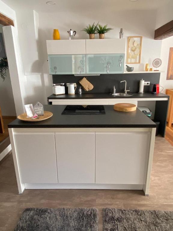Kuchyň nebo kuchyňský kout v ubytování Apartment mit Sauna im Wienerwald - Mödling