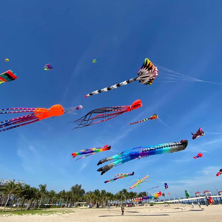 a bunch of kites flying in the sky on a beach at Athenia Hoi An Boutique Hotel & Spa in Hoi An