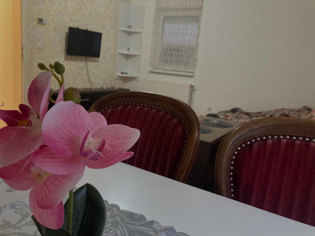 Μια τηλεόραση ή/και κέντρο ψυχαγωγίας στο Mila