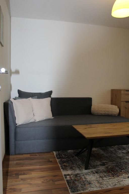 Posezení v ubytování Apartment Seber