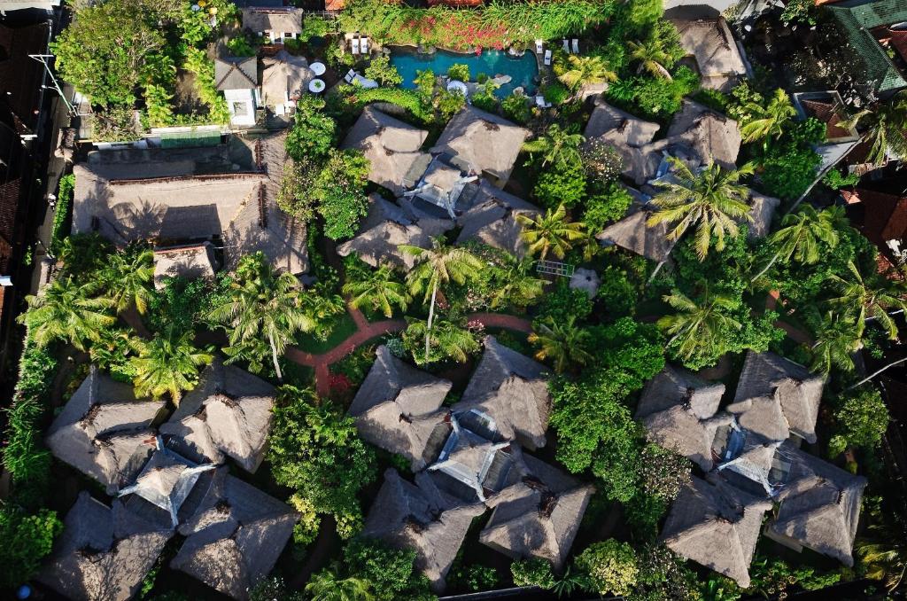 Zahrada ubytování Poppies Bali