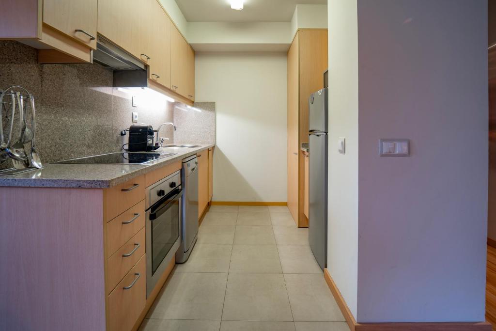 Kuchyň nebo kuchyňský kout v ubytování Apartaments Superior
