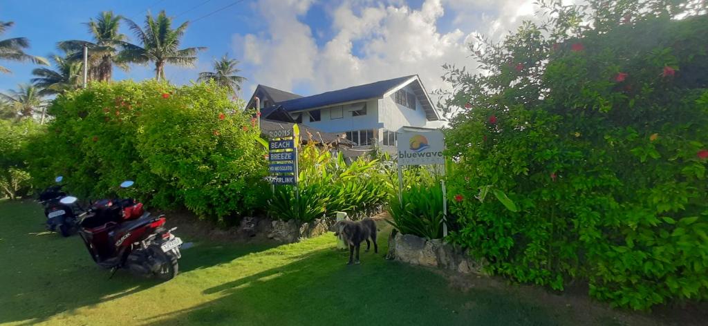 Zahrada ubytování BlueWave Surf Stay