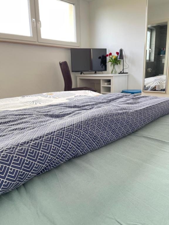 TV a/nebo společenská místnost v ubytování Apartment CHEZ TONY