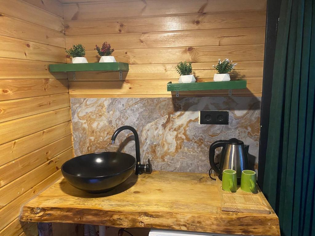 Kuchyň nebo kuchyňský kout v ubytování Lahza Tiny House