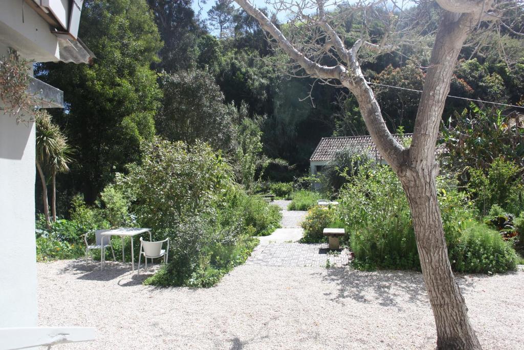 a garden with a table and chairs and a tree at ribeira dos marinheiros amarelo in Sintra