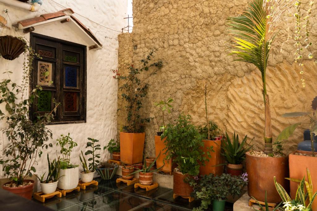 Zahrada ubytování Casa Tsao