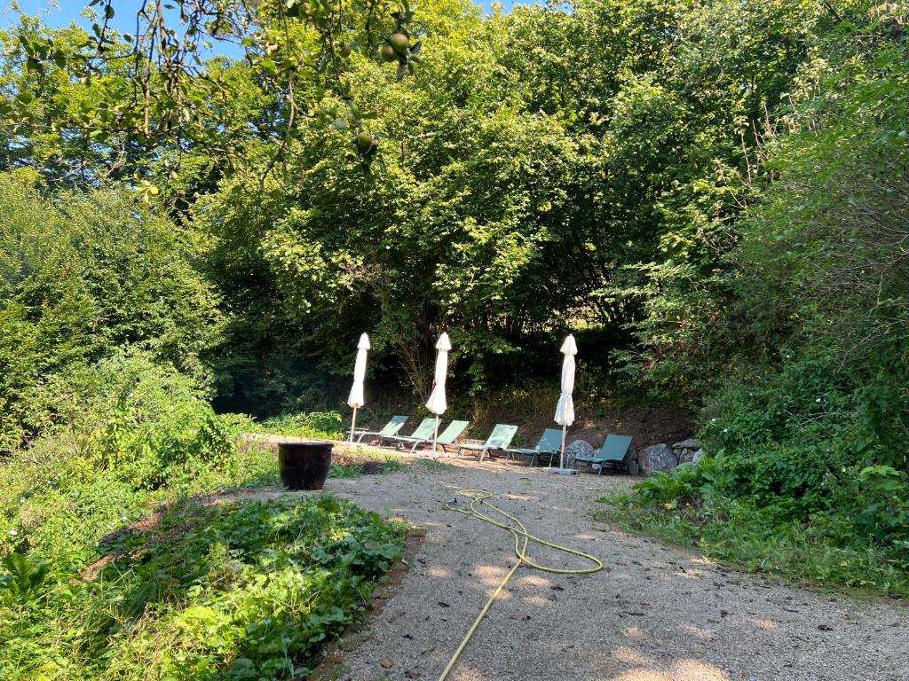 Zahrada ubytování Waldseele Appartement
