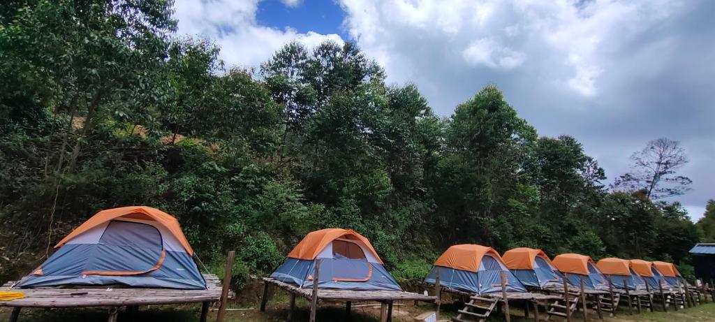 Fotografie z fotogalerie ubytování Paradise Tent Stay Vattavada Munnar v destinaci Vattavada